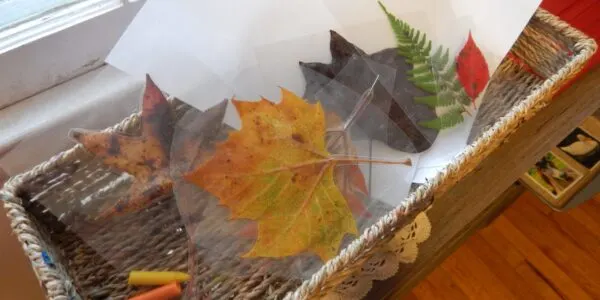 leaf rubbing Fall activity set up for Montessori.