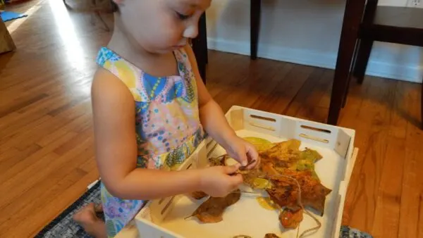 Child performing leaf threading pincer grasp activity.