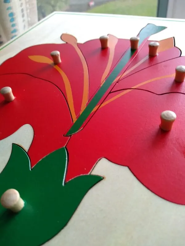 knobbed puzzles in Montessori help with writing before reading