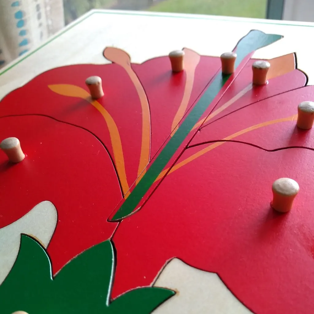 Montessori flower knobbed puzzle. Built in control of error.
