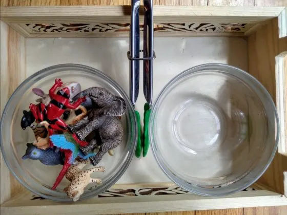 Child-size tongs, miniature animals, and 2 bowls