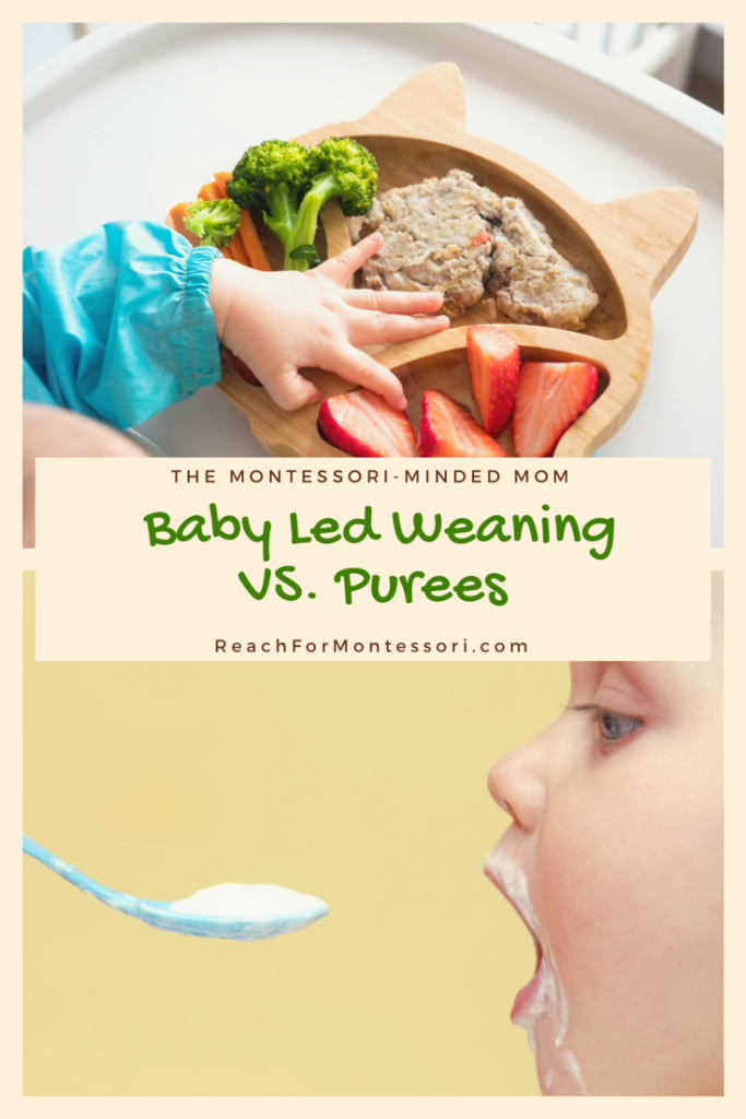 Baby Led Weaning vs Purees Which Should You Choose and Which is