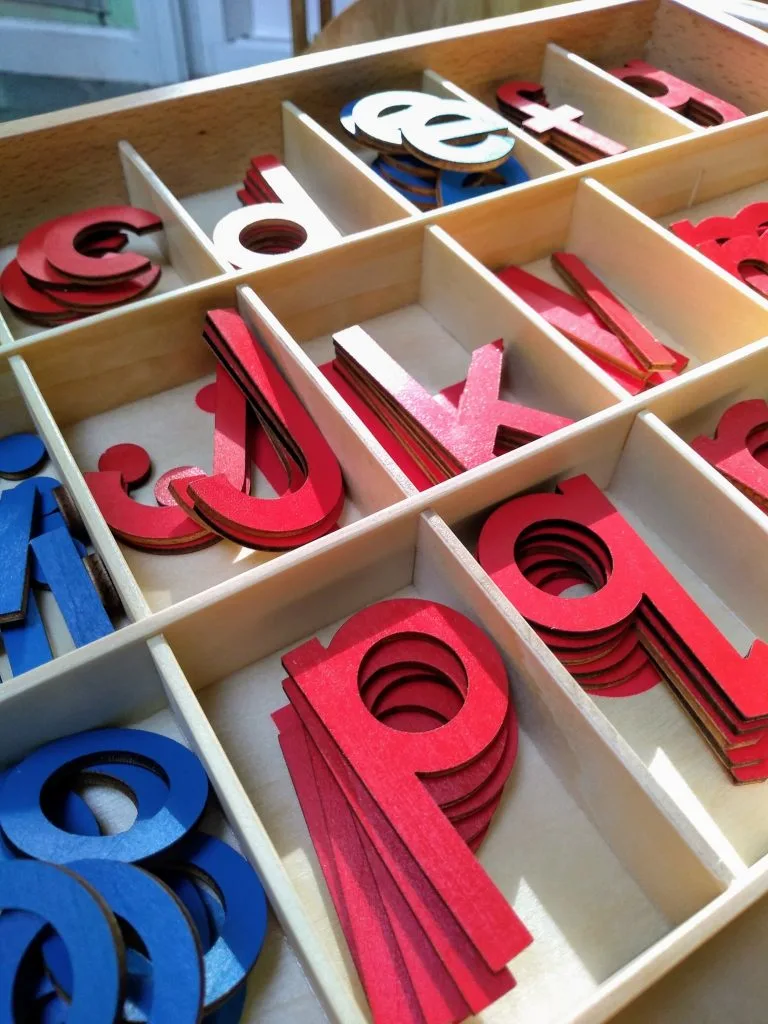 closeup of Small Movable Alphabet (Print) in box.