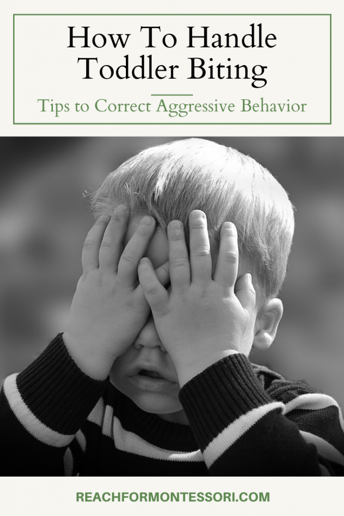 How to Handle Toddler Biting Tips To Correct Aggressive Behavior