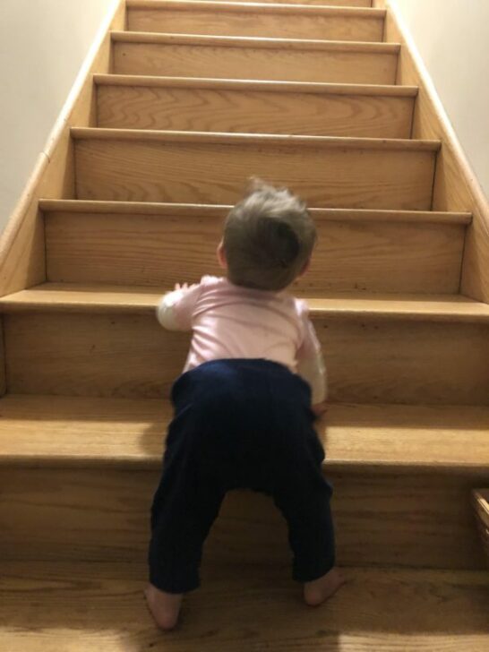baby climbing stairs during sensitive periods for gross motor development and movement.