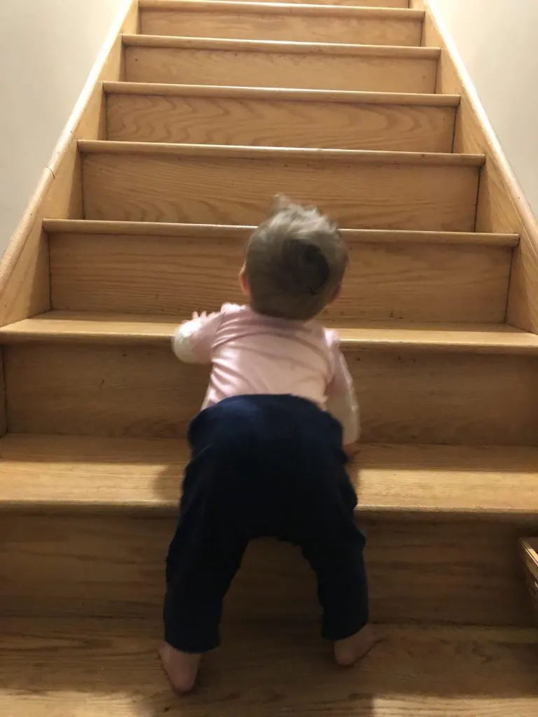 baby climbing stairs in sensitive period for movement.