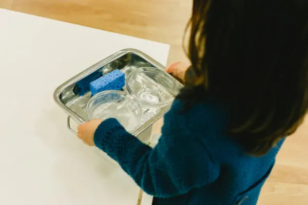 child ready to wipe a table