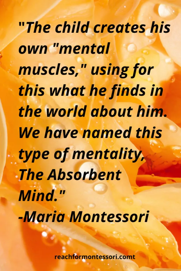 Absorbent Mind Quote by Maria Montessori