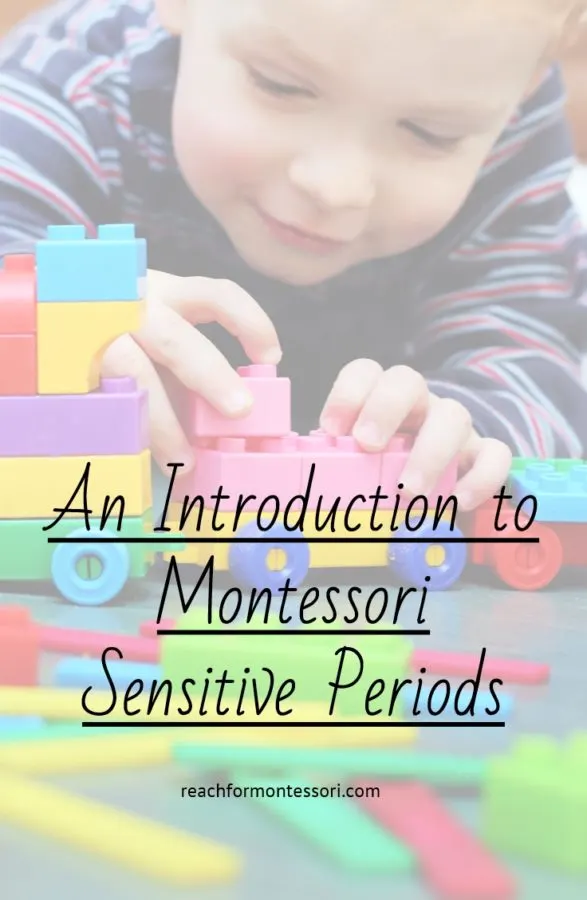 sensitive periods post