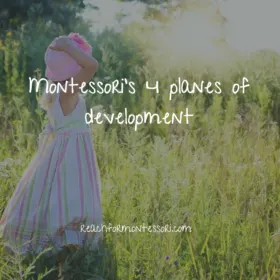 4 planes of development in montessori pinterest image.