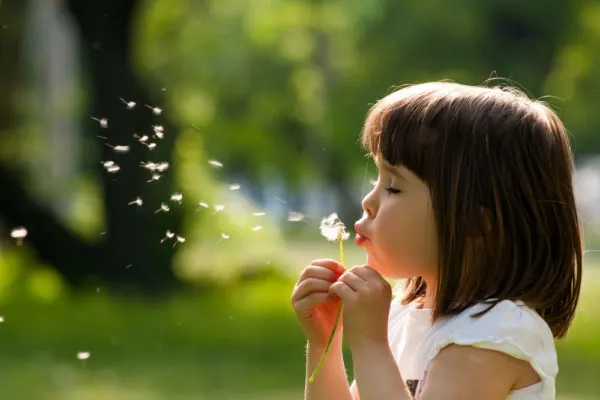 A child blowing dandelion seeds one her own. An absorbent mind.