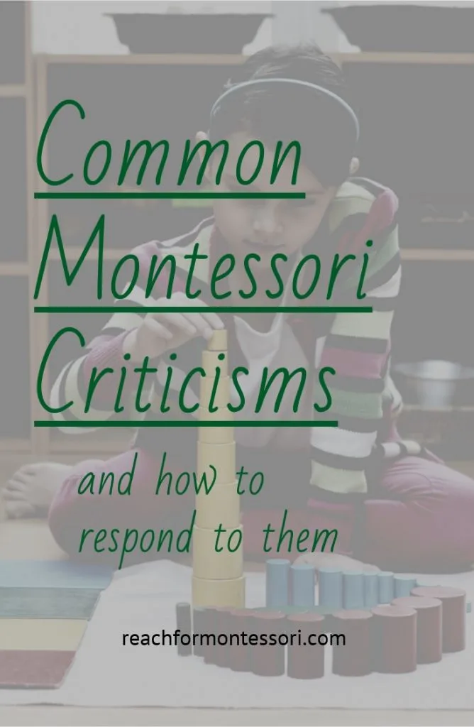 Montessori criticism