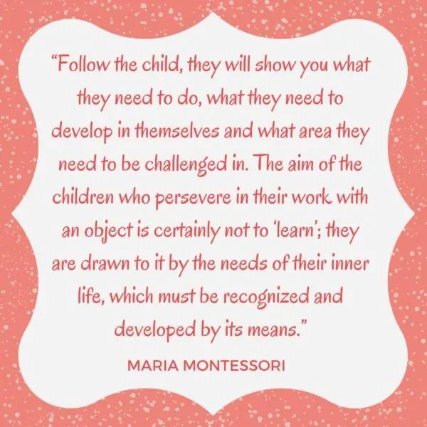 Montessori quote follow the child
