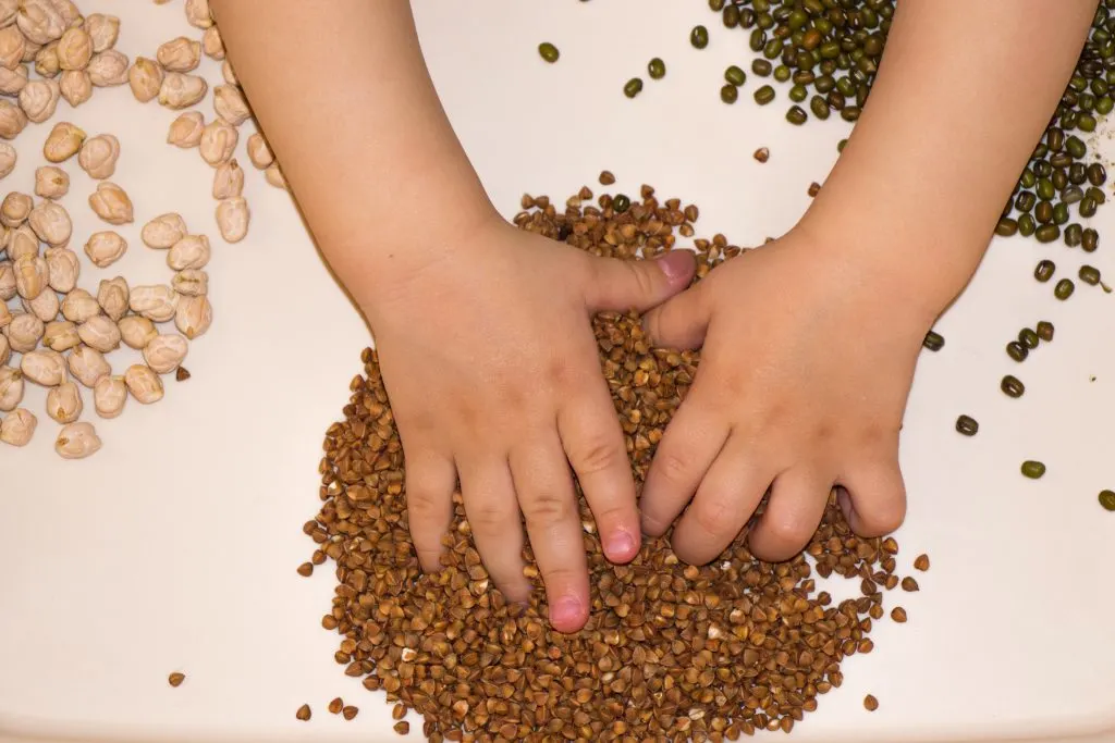 Montessori Activities: A child using their senses by putting hands in different beans, seeds.