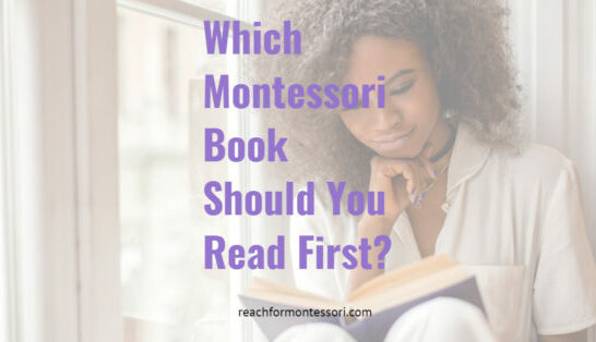 Which Montessori Book Should You Read First? pinterest.