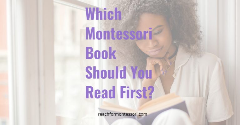 Which Montessori Book Should You Read First? pinterest.