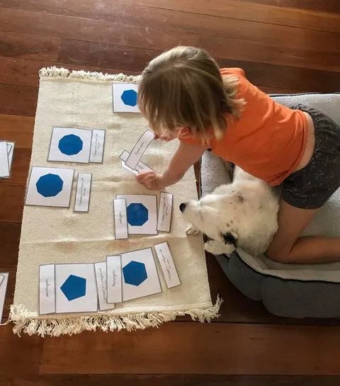 special needs child using  Montessori nomenclature cards