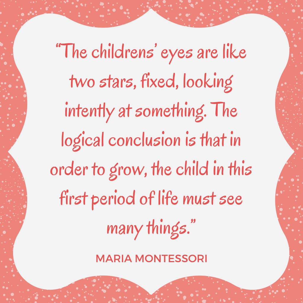Montessori quote eyesight