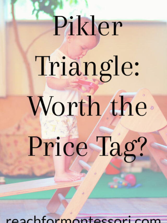 The Best Pikler Triangle Brands! — The Montessori-Minded Mom