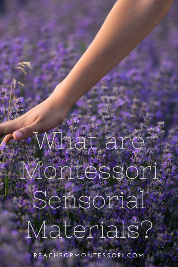 What Are Montessori Sensorial Materials