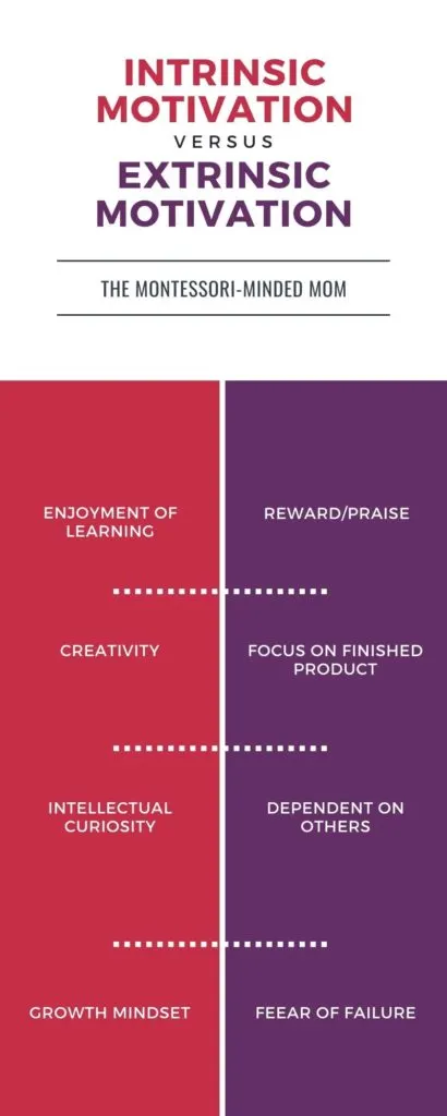 intrinsic motivation vs extrinsic motivation infographic