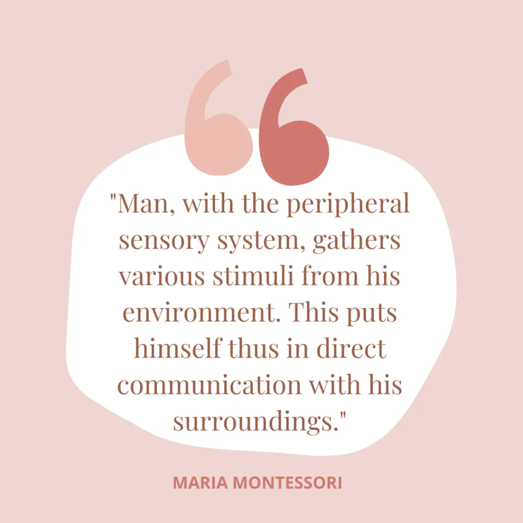 Maria Montessori sensory quote