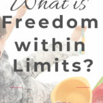 What is Freedom within Limits pin