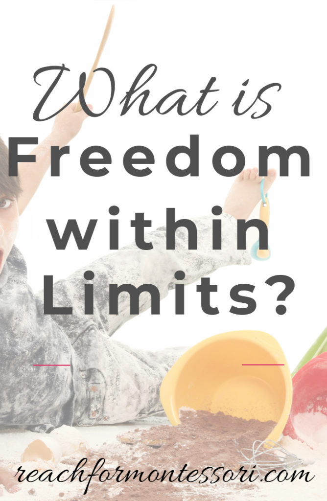 What is Freedom within Limits pin
