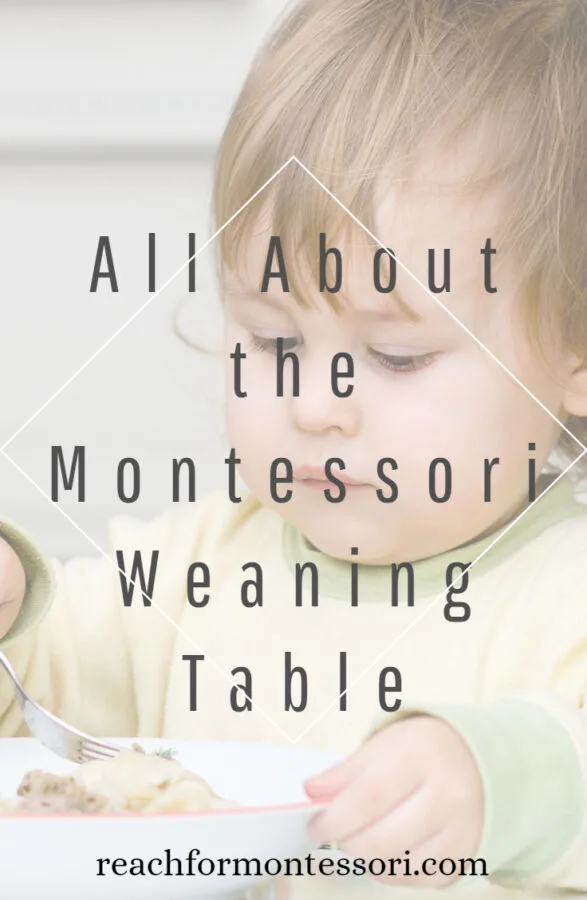 Weaning Table  Nienhuis Montessori