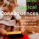 natural and logical consequences pin.