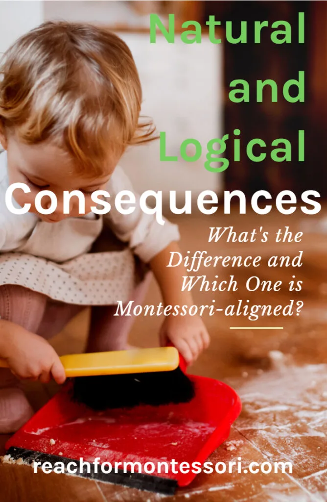 natural and logical consequences pin.