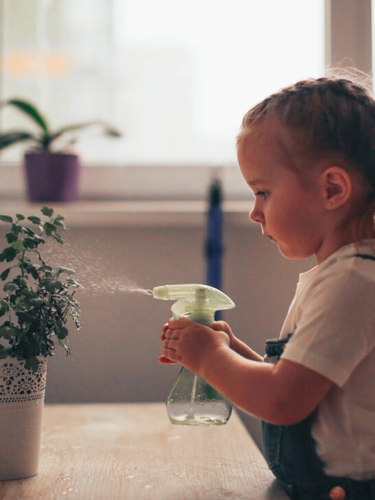 child caring for a plant.