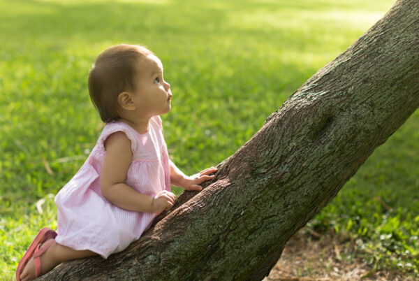 baby climbing up tree stumps