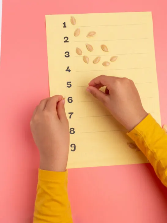 child using sunflower seeds for math activity.
