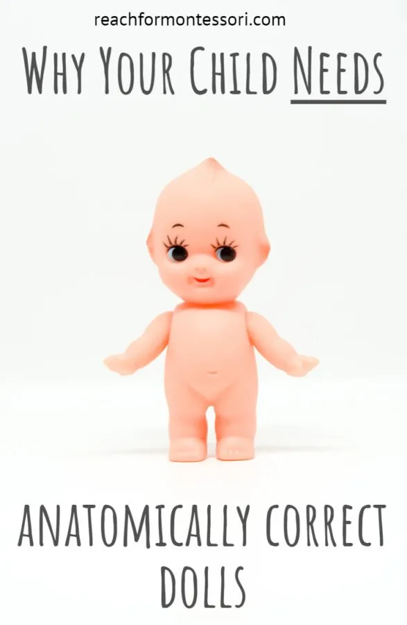 Why Your Child s Baby Dolls Should be Anatomically Correct The