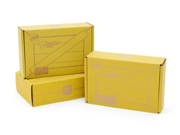 Image of Koala crate Montessori subscription boxes.