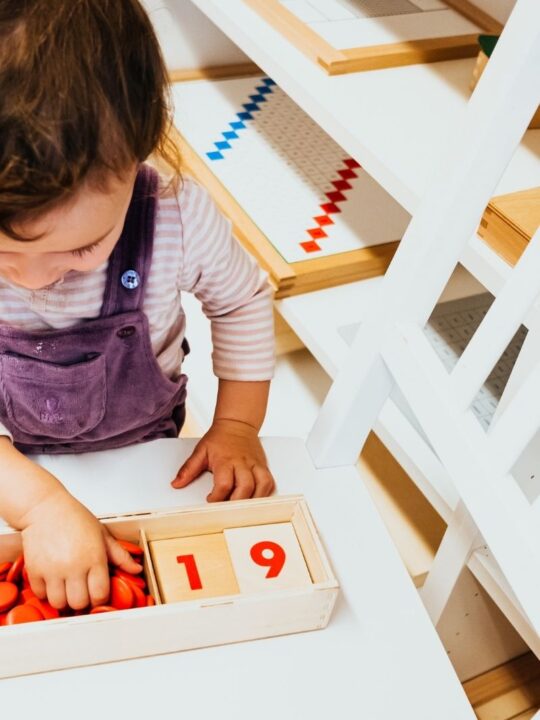 image of child working with Montessori cards and counters.
