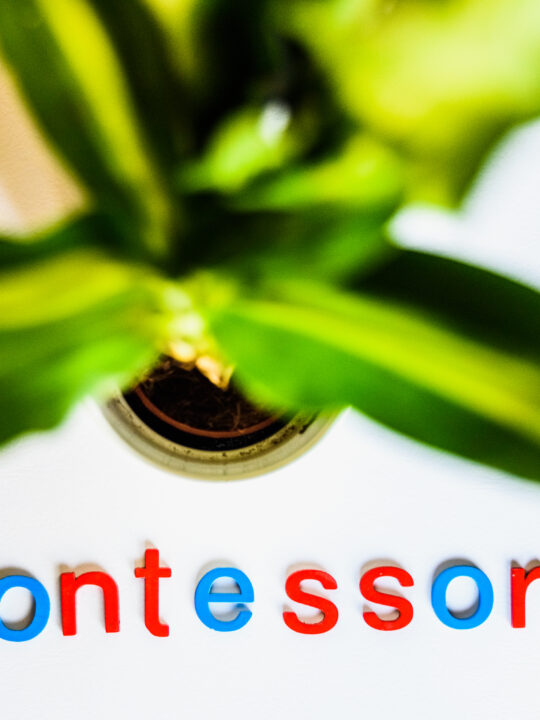 image of plant with the word montessori underneath it for the montessori age groups article.