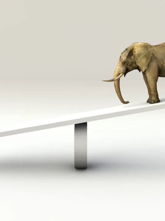image of ant and elephant on scale, representing weight comparison with the Montessori Baric Tablets.