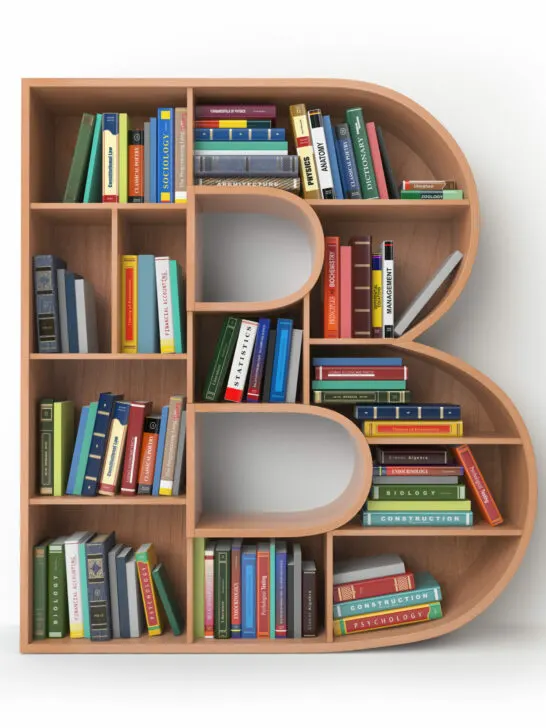 image of bookshelf full of books shaped like the letter b.