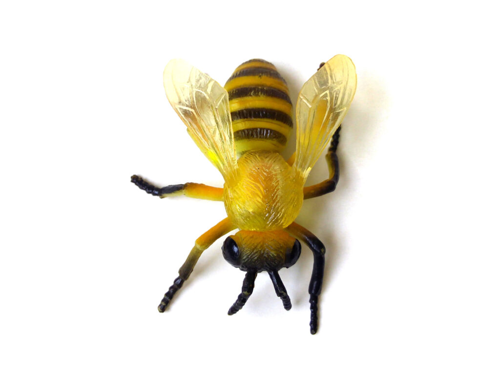 image of a bee to represent letter b toys.