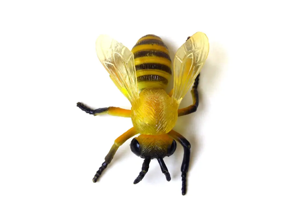 image of a bee to represent letter b toys.