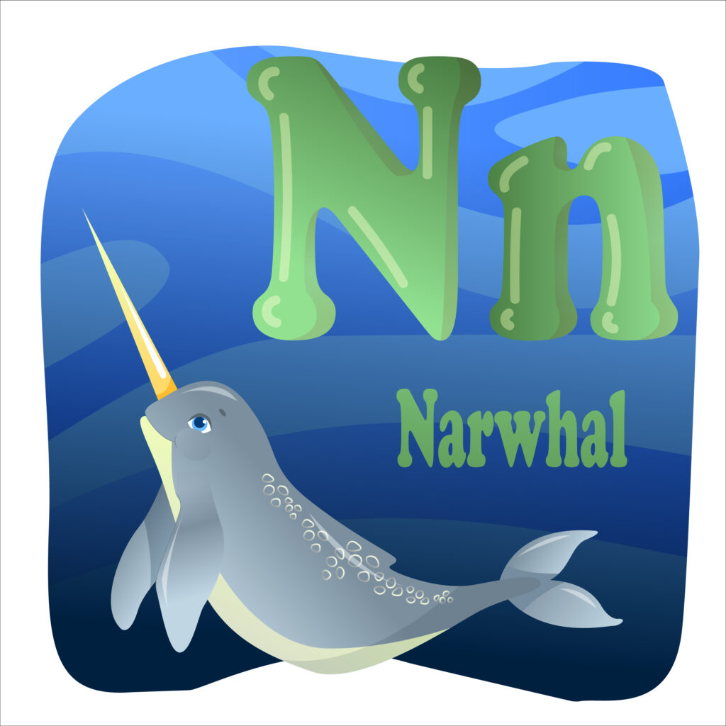 Image of capital and lower case letter N and cartoon norwhal for toys that start with N post.