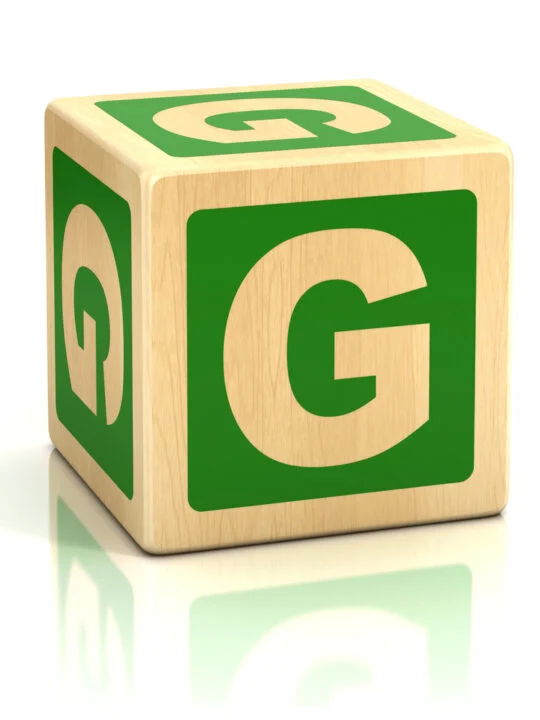 image of building block with letter G on it for toys that start with G post.