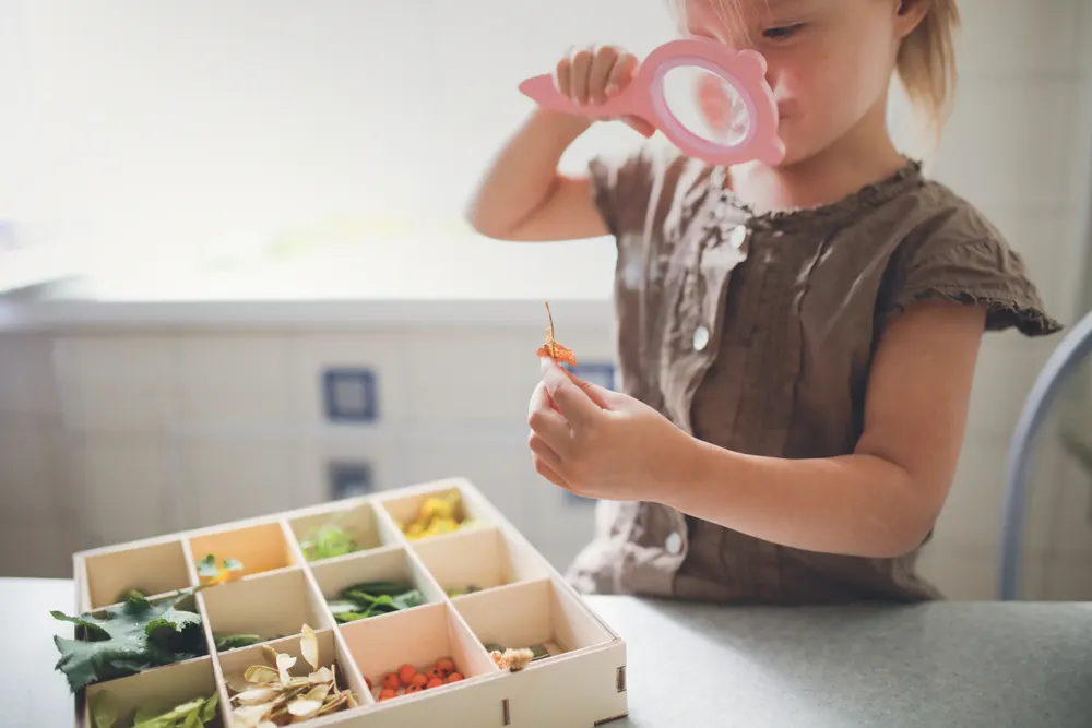 Homeschooling with Toddlers - Montessori Trays