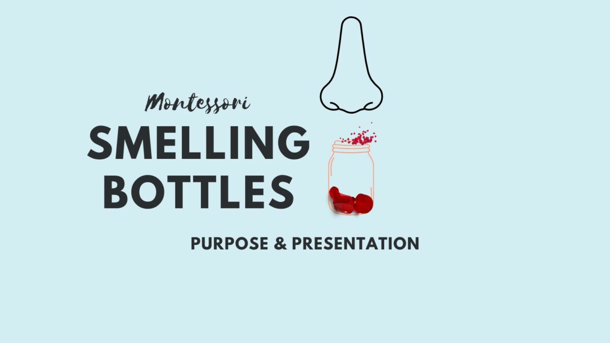 Montessori Smelling Bottles Purpose And Presentation — The Montessori