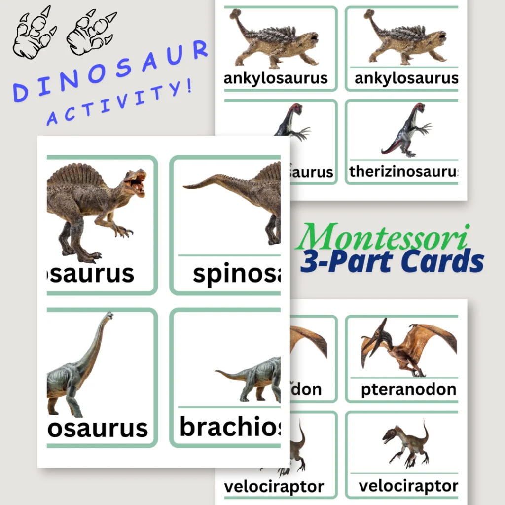 image of Montessori printable 3 part cards activity featuring dinosaurs.